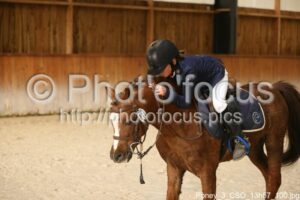 Poney_3_CSO_13h57_100.jpg