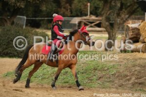 Poney_3_Cross_15h36_001.jpg