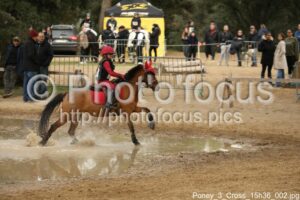 Poney_3_Cross_15h36_002.jpg
