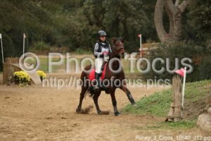 Poney_3_Cross_15h40_012.jpg