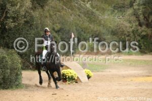 Poney_3_Cross_15h41_014.jpg