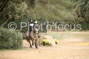 Poney_3_Cross_15h43_019.jpg