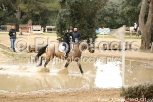 Poney_3_Cross_15h43_021.jpg
