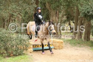 Poney_3_Cross_15h43_022.jpg