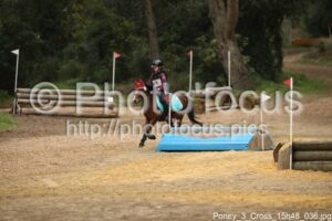 Poney_3_Cross_15h48_036.jpg