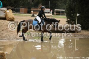 Poney_3_Cross_15h50_040.jpg