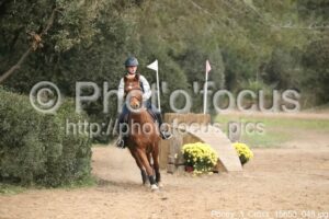 Poney_3_Cross_15h53_048.jpg