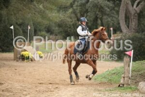 Poney_3_Cross_15h54_050.jpg