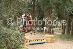 Poney_3_Cross_15h54_052.jpg