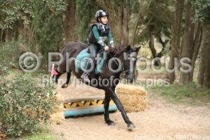 Poney_3_Cross_15h57_065.jpg