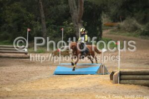 Poney_3_Cross_15h59_071.jpg