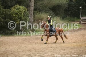 Poney_3_Cross_15h59_072.jpg