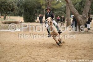 Poney_3_Cross_15h59_074.jpg
