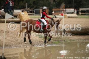 Poney_3_Cross_16h00_080.jpg