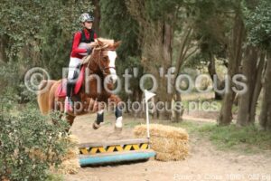 Poney_3_Cross_16h01_082.jpg