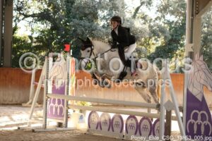 Poney_Elite_CSO_13h53_005.jpg