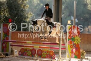 Poney_Elite_CSO_13h53_007.jpg
