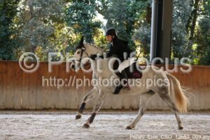 Poney_Elite_CSO_13h53_009.jpg