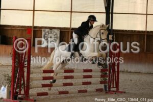 Poney_Elite_CSO_13h54_011.jpg