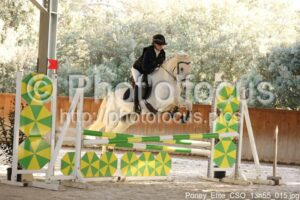 Poney_Elite_CSO_13h55_015.jpg