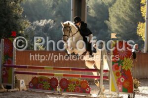Poney_Elite_CSO_13h55_016.jpg