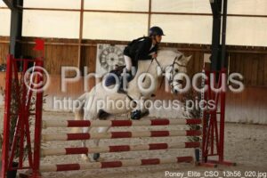 Poney_Elite_CSO_13h56_020.jpg