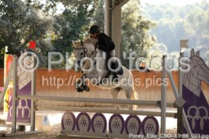 Poney_Elite_CSO_13h56_023.jpg