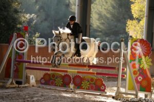 Poney_Elite_CSO_13h57_025.jpg