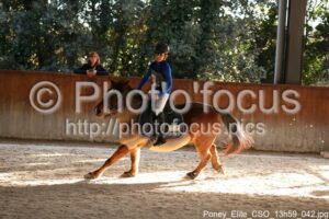 Poney_Elite_CSO_13h59_042.jpg