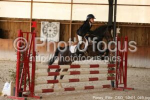 Poney_Elite_CSO_14h01_049.jpg