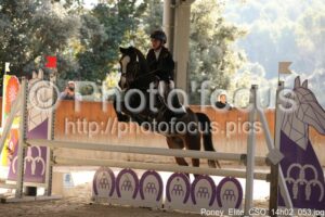 Poney_Elite_CSO_14h02_053.jpg