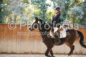 Poney_Elite_CSO_14h02_057.jpg