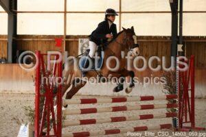 Poney_Elite_CSO_14h03_059.jpg