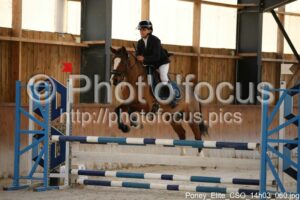 Poney_Elite_CSO_14h03_060.jpg