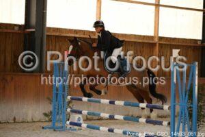 Poney_Elite_CSO_14h03_061.jpg