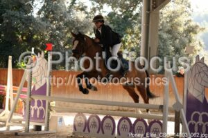 Poney_Elite_CSO_14h03_062.jpg