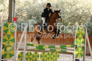Poney_Elite_CSO_14h04_063.jpg