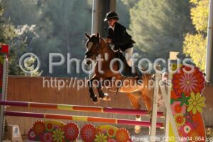 Poney_Elite_CSO_14h04_064.jpg