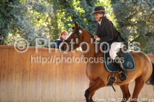 Poney_Elite_CSO_14h04_065.jpg