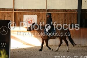 Poney_Elite_CSO_14h04_067.jpg