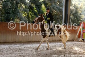 Poney_Elite_CSO_14h06_075.jpg