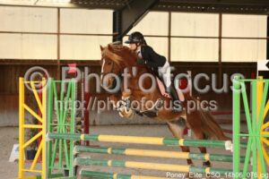 Poney_Elite_CSO_14h06_076.jpg