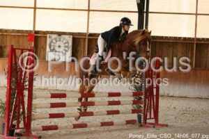 Poney_Elite_CSO_14h06_077.jpg