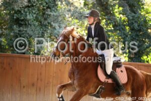 Poney_Elite_CSO_14h07_083.jpg