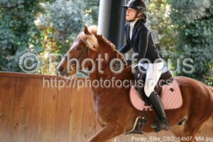 Poney_Elite_CSO_14h07_084.jpg