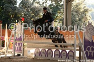 Poney_Elite_CSO_14h08_089.jpg