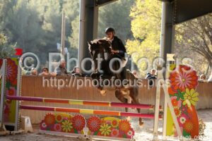 Poney_Elite_CSO_14h09_091.jpg