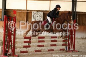Poney_Elite_CSO_14h09_095.jpg