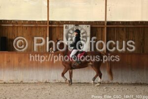 Poney_Elite_CSO_14h11_103.jpg