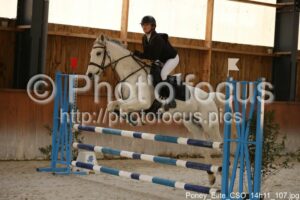 Poney_Elite_CSO_14h11_107.jpg